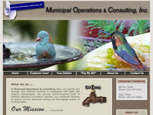 Web Design Project - Municipalops